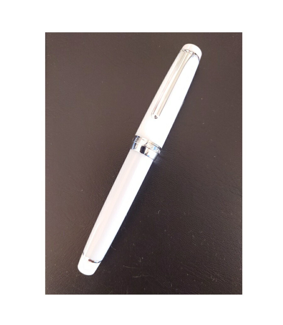 【限定200本】オリジナル万年筆　プロフェッショナルギア　ペン先大型18金　天冠オリジナル肉球デザイン