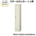 ロッカー 1人用 鍵付き 鏡付き 傘立て ネクタイ掛け タオル掛け 収納 LK-042403N ∴ 1人用ロッカー W317 D515 H1790 SLK-1S 業務用