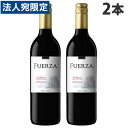 『スペイン直輸入』 フエルザ・ティント 赤 ワイン Fuerza Vino 750ml×2本