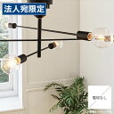 『ポイント10倍』『取寄品』インターフォルム 天井照明 Astre アストル シーリングライト 6灯 電球なし LT-2679 多灯 リビング 寝室 おしゃれ『...
