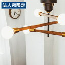 『ポイント10倍』『取寄品』インターフォルム 天井照明 Astre baum アストルバウム シーリングライト 6灯 ホワイトボール球付 ブラック LT-352...
