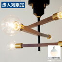 『ポイント10倍』『取寄品』インターフォルム 天井照明 Astre baum アストルバウム シーリングライト 6灯 LED電球付 ブラック LT-3529BK...