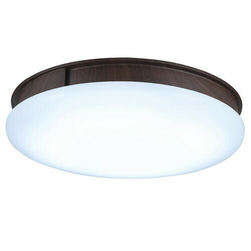 スワン電器天井照明SlimacシーリングファンライトUZUKAZEブラウンFCE-555BRシーリングライトうずかぜ空気清浄機能