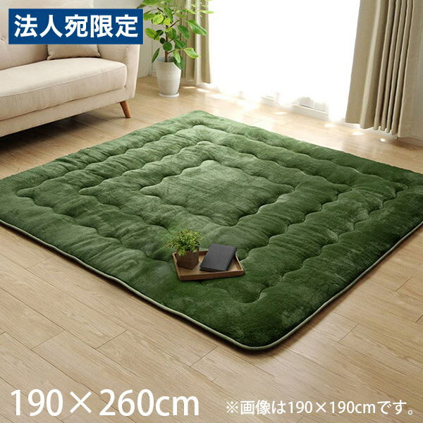 Rakuten - イケヒコ 撥水6層フラン ラグ 190×260cm グリーン HRF190260 [ 家具 ラグ 撥水 ふっくら ホットカーペット対応 床暖房対応 ]『代引不可』『送料無料（一部地域除く）』
