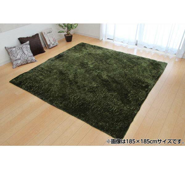 ̵�ϥ饰 ��른�� ���꡼�� 3958939 200��300cm[�饰 �����ڥå� �ȶ�]������Բġ١�����̵���ʰ����ϰ�����ˡ�