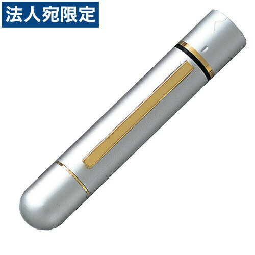 ツインGT シルバー 楷書体