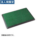 『取寄品』テラモト 除菌マット MR-120-300-0『送料無料(一部地域除く)』