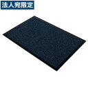 『取寄品』FLOORTEX ドアマット 46090DCBLV 900×600mm 青『送料無料(一部地域除く)』(3)