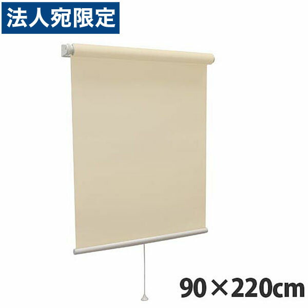 『高品質＆高機能』 規格品『ティオリオ』 ロールスクリーン 無地防炎 90×220 TR-3137 シナモン『代引不可』『送料無料（一部地域除く）』