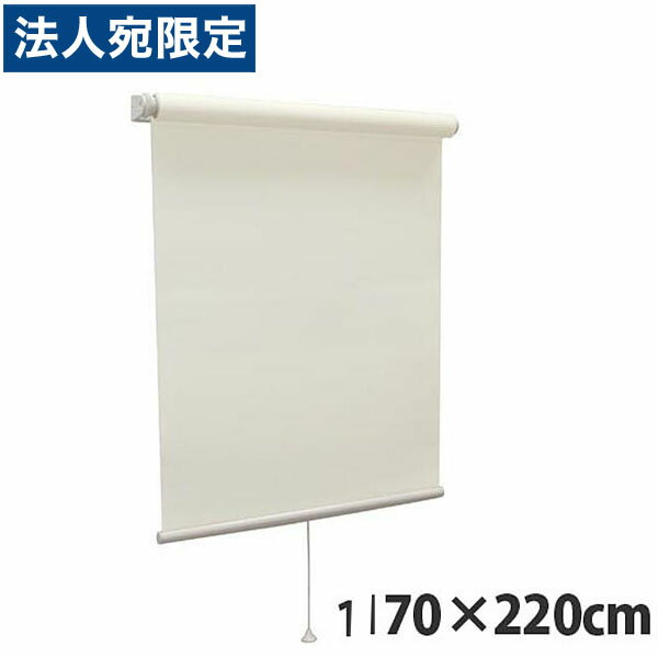 『高品質＆高機能』 規格品『ティオリオ』 ロールスクリーン 無地防炎 170×220 TR-3135 ココ『代引不可』『送料無料（一部地域除く）』