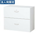 生興 2段ラテラルキャビネット W900×D450×H750mm 下置用 RW45-207D『代引不可』『送料無料(一部地域除く)』
