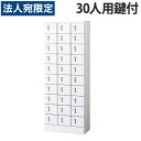 小物入ロッカー 3列10段(30人用)内筒交換錠タイプ KLKW-30-TN『代引不可』『送料無料(一部地域除く)』