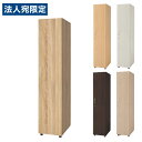 『受注生産品』 タック ロッカー 1人用 鍵付 W395×D570×H1860mm RGFJLNS『代引不可』『送料無料(一部地域除く)』