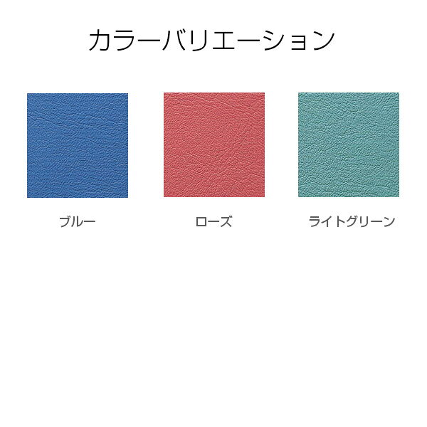『受注生産品』 ライオン事務器 ミーティング用チェアー レザー張り 肘なし No.2326S『代引不可』『送料無料(一部地域除く)』 [2]