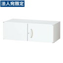 生興 クウォール システム収納庫 上置書庫 W900×D400×H300 RW4-03H『代引不可』『送料無料(一部地域除く)』
