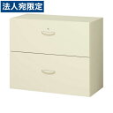 生興 クウォール システム収納庫 ラテラルキャビネット W900×D450×H750 RG45-207D『代引不可』『送料無料(一部地域除く)』