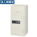 生興 耐火金庫 夜間投入型 W610×D630×H1250 PSG-125『代引不可』『別途 搬入設置費必須』『送料無料(一部地域除く)』(3)