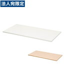 ライオン事務器 デリカウォール Vシリーズ 天板 W1200×D450mm V1245-T1『代引不可』『送料無料(一部地域除く)』(3)