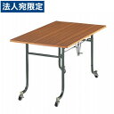 ライオン事務器 デリカテーブル 木縁エッジタイプ W1200×D750×H700mm P-2S『代引不可』『送料無料(一部地域除く)』