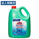 花王 トイレマジックリン 強力クレンザー 業務用 4.5kg トイレ用洗剤 トイレ掃除 掃除用洗剤 トイレ 便器 中性(3)