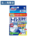 小林製薬 ブルーレット トイレ洗浄中 3錠入