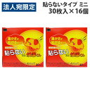 カイロ 貼らない ミニ 30枚入×16個 オカモト 快温くん『送料無料(一部地域除く)』