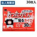 オカモト あったかくん 貼るカイロ レギュラー 30枚入 使い捨て カイロ あったかい 手指の冷え 貼るカイロ