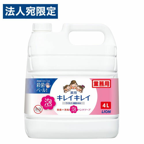 ライオン キレイキレイ 薬用 泡ハンドソープ シトラスフルーティの香り 業務用 4L 手洗い ハンドソープ 手指 洗浄 泡タイプ 殺菌 消毒 『医薬部外品』『送料無料（一部地域除く）』