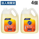 花王 キュキュット 業務用 4.5L×4個 食器用洗剤 洗剤 液体洗剤 キッチン用洗剤 食器用 食器洗い『送料無料(一部地域除く)』(3)