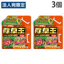 フマキラー 除草王 ザッソージエース エコパウチ 4.5L×3個『送料無料(一部地域除く)』
