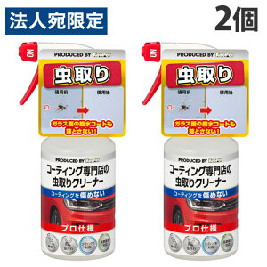 KeePer コーティング専門店の虫取りクリーナー 300ml×2個 洗車 車 自動車 車用品 カー用品 洗剤 プロ仕様 キーパー