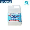 ライオン ハイアルコールスプレー 業務用 5L『送料無料（一部地域除く）』