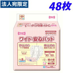 フリーネ ワイド・安心パッド 48枚