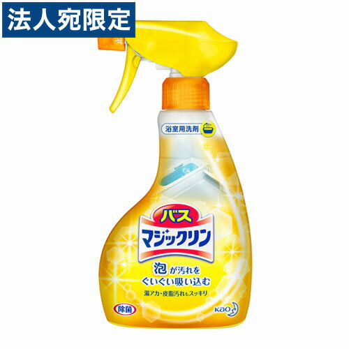 花王 バスマジックリン 泡立ちスプレー 本体 380ml