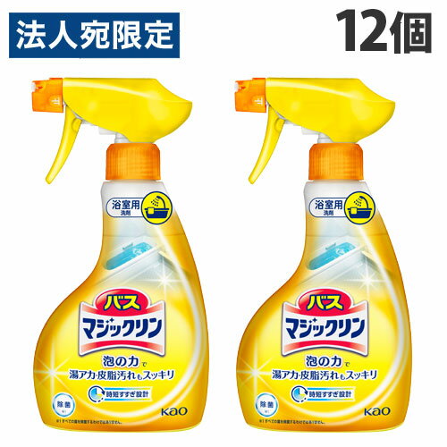 花王 バスマジックリン 泡立ちスプレー 本体 350ml×12個 お風呂用洗剤 風呂掃除 掃除用洗剤 浴室用洗剤 掃除 清掃『送料無料（一部地域除く）』