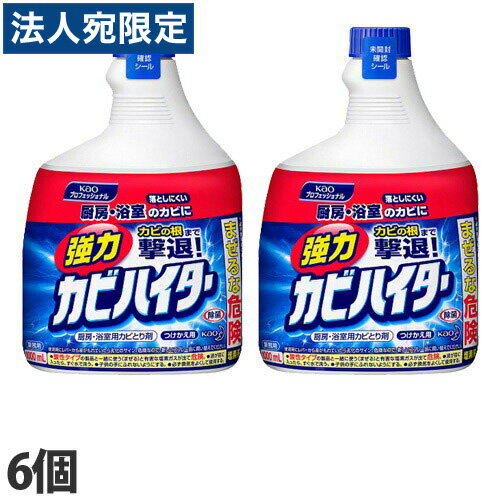 花王 強力カビハイター 付替 1000ml×6個『送料無料（一部地域除く）』