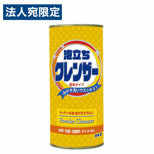 カネヨ石鹸 泡立ちクレンザー 粉末