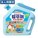 アース製薬 アースガーデン おうちの草コロリ 6L 除草剤 除草 食品成分 雑草 枯らす 庭 駐車場 速効性