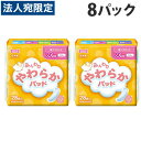 第一衛材 フリーネ ふんわりやわらかパッド 中量用 80cc 28枚×8パック『送料無料（一部地域除く）』