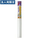 断熱シート 窓 ニトムズ 窓ガラス断熱シートフォーム 水貼りN 90×180cm(3)