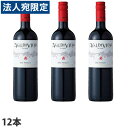 『取寄品』バルディビエソ バルディビエソ メルロー 750ml×12本完熟プラムのフレーバーにチョコやスパイス、スモーキーな香り『送料無料(一部地域除く)』