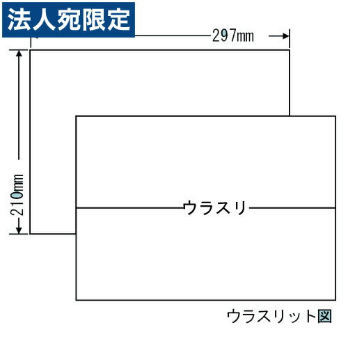 ラベルシール 東洋印刷 C1ZX カラーインクジェット用 A4 100シート×5箱『代引不可』『送料無料（一部地域除く）』