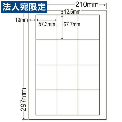 xV[ m SCL-9 J[[U[p A4 80V[gwsxwiꕔn揜jx