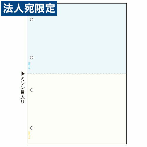 qTS BP2011WZ (A4J[24)wsxwiꕔn揜jx