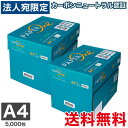 帳票用紙 1000枚 2分割 マイクロミシン ヨコ1本 ファイル穴4個付 A4サイズ 【送料無料】 沖縄・一部を除く レーザープリンター インクジェットプリンター プリンター用紙 マルチプリンタ用 上質コピー用紙 ミシン目入り用紙 プリンター帳票用紙 2面カット紙