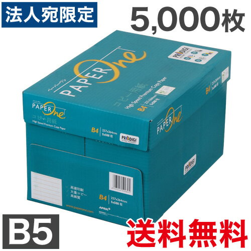 【送料無料】コクヨ カラーLBP・カラーコピー用紙 両面印刷用・マット紙 薄口 A4 100枚 LBP-F1110 - メール便発送