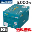 『最安挑戦』コピー用紙 B5 5000枚 (500枚×10冊) ペーパーワン (PAPER ONE) 高白色 プロデジ高品質 保存箱仕様 PEFC認証 用紙 OA用紙 印刷用紙 無地『送料無料（一部地域除く）』