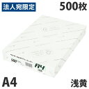 【FSC認証】カラーコピー用紙 ダイオーカラーマルチペーパー A4 浅黄(ライトブルー)500枚 水 青 チラシ DM 案内状 掲…