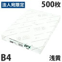 【FSC認証】カラーコピー用紙 ダイオーカラーマルチペーパー B4 浅黄(ライトブルー)500枚 水 青 チラシ DM 案内状 掲示物 配布物 カラーペーパー エコ 森を守る