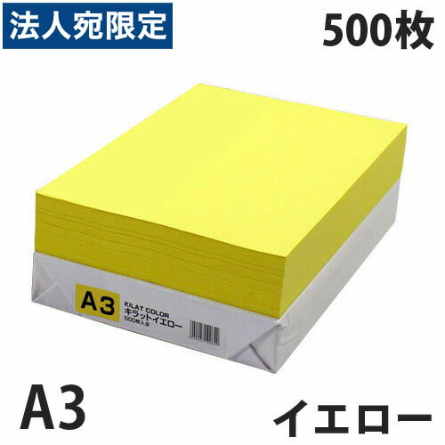�J���[�R�s�[�p�� �C�G���[ A3 500��